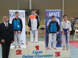 Coupe Elite Kumite1 01 2017