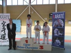 Coupe Elite Kumite3 01 2017